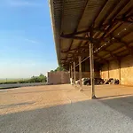 Les Pièces Du Moulin