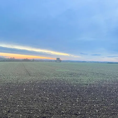 Διαμέρισμα 