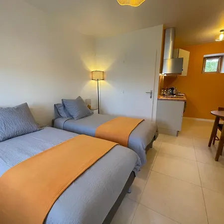 Apartment Les Pieces Du Moulin Angliers (Vienne)