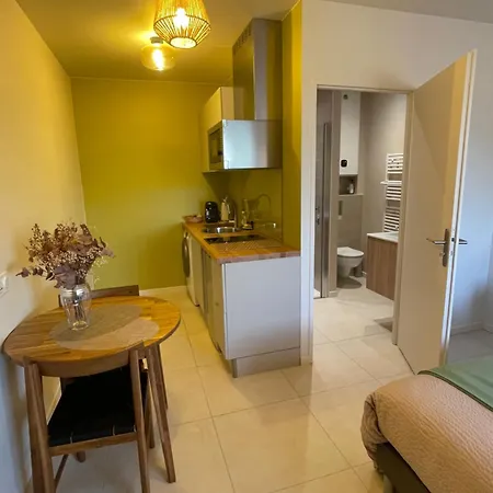 Apartment Les Pieces Du Moulin Angliers (Vienne)