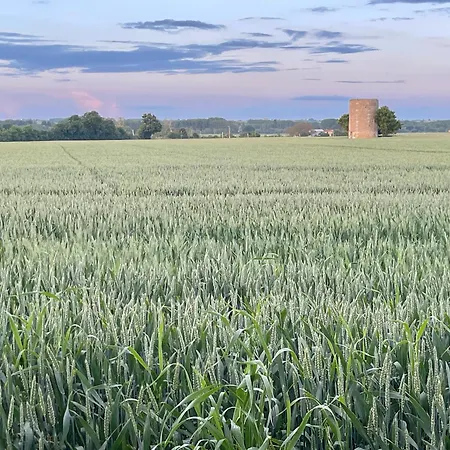 Les Pièces Du Moulin Angliers (Vienne)